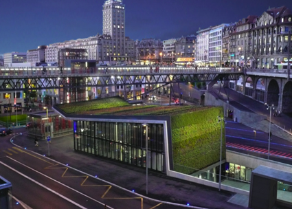 un jardin pour 2008, carte de voeux