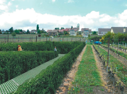 passage inf�rieur pi�tons, saint-prex